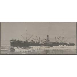 Whaling ship, ice floes and whale carcasses