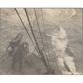 Whale-catcher trailing harpooned whale