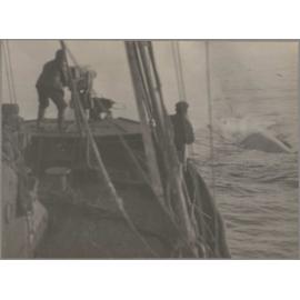 Crew members firing a harpoon at a whale