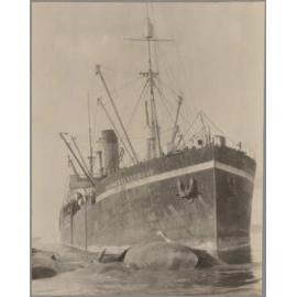 Sir James Clark Ross whaling ship and whale carcasses