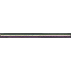Purple, white and green ribbon