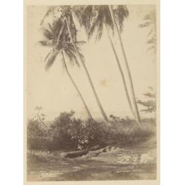 Near Levuka, Fiji