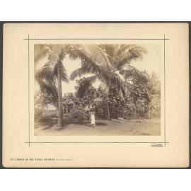 Near Apia, Samoa