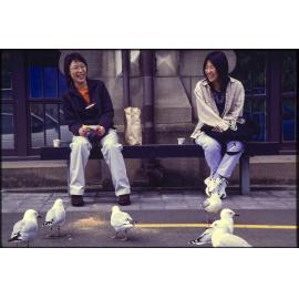 Two women sitting on a bench with seagulls in foreground
