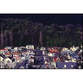 View over North Dunedin houses to Dunedin Botanic Garden