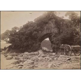 Puysegur Point, Preservation Inlet