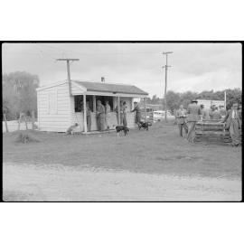 Canteen and saleyard