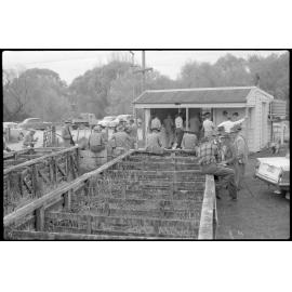 Canteen and saleyard