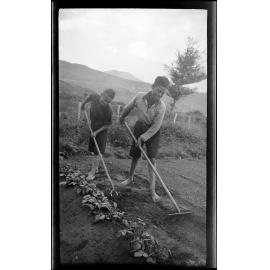 Children working in a garden