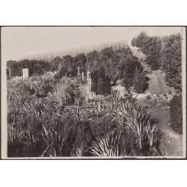 Fountain surrounded by flax at Wairongoa Springs