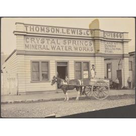 Horse and cart in front of Thomson, Lewis & Co. premises, with driver and three children