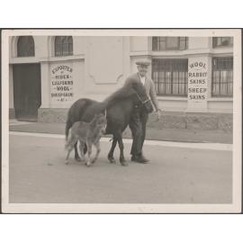Man walking on Bond Street alongside a pony and a foal