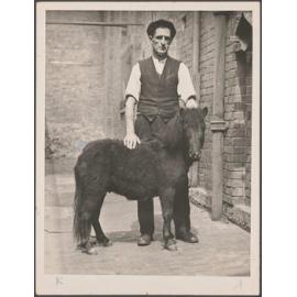 Man standing with a pony