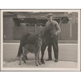 Man standing with a pony