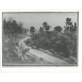 "Flagstaff Hill from McGlashans Valley"