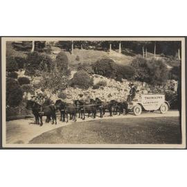 Thomsons Lemonade pony-drawn wagon and driver at Dunedin Botanic Garden