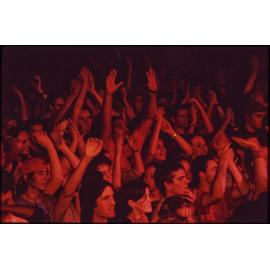 'Nightlife'