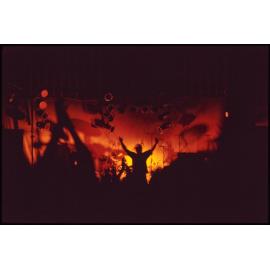 'Nightlife'