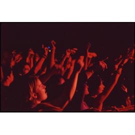 'Nightlife'
