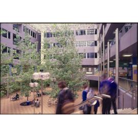 Commerce Building atrium, University of Otago