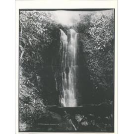 Leith Valley