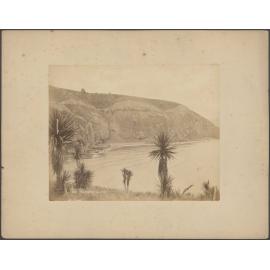Purakanui Cliffs