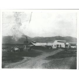 Rabbit Canning Factory