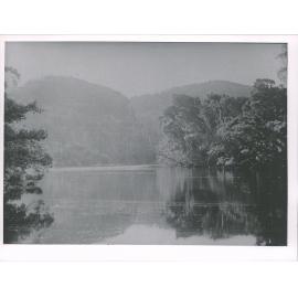 Where the shags breed in Anchor Lake