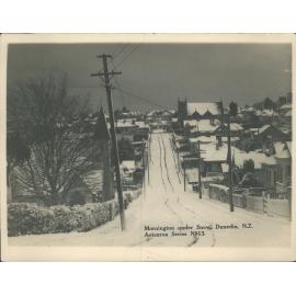 Mornington under Snow, Dunedin, N.Z.