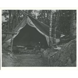Catlins Tent