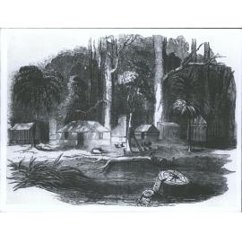 Immigrants Cottage Otago.