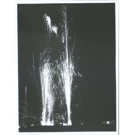 N Z. & SS Exhibition New Years Eve