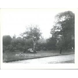 Botanical Gardens, Dunedin