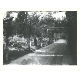 In the Botanical Gardens, Dunedin, N.Z.