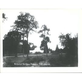 Botanical Gardens, Dunedin, N.Z.