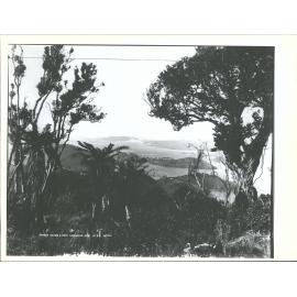 Taiaroa Heads & Port Chalmers