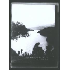 Otago Harbour from Portobello