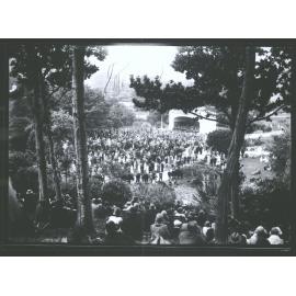 Botanical Gardens, Dunedin