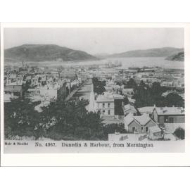Dunedin Otago Harbour, from Mornington