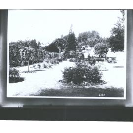 Botanical Gardens Dunedin, N.Z.