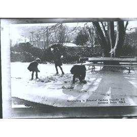 Snowballing in Botanical Gardens, Dunedin, N.Z.