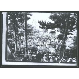 Botanical Gardens, Dunedin, N.Z.