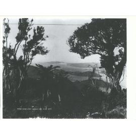 Otago Harbour: Taiaroa Heads and Port Chalmers