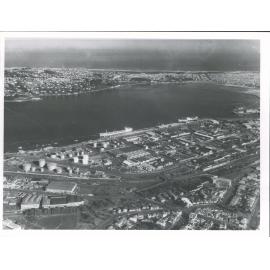 Dunedin aerial view