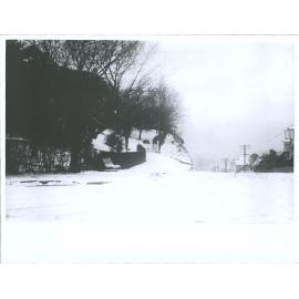 From top of Pitt Street