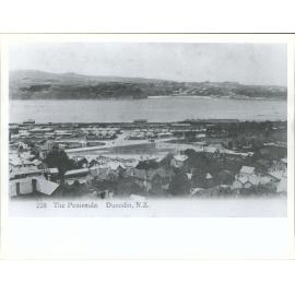 The Peninsula, Dunedin N.Z.
