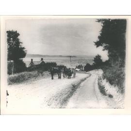 (also under Lachlan Ave)