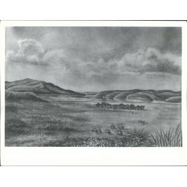 Dunedin Harbour& Anderson's Bay 1849