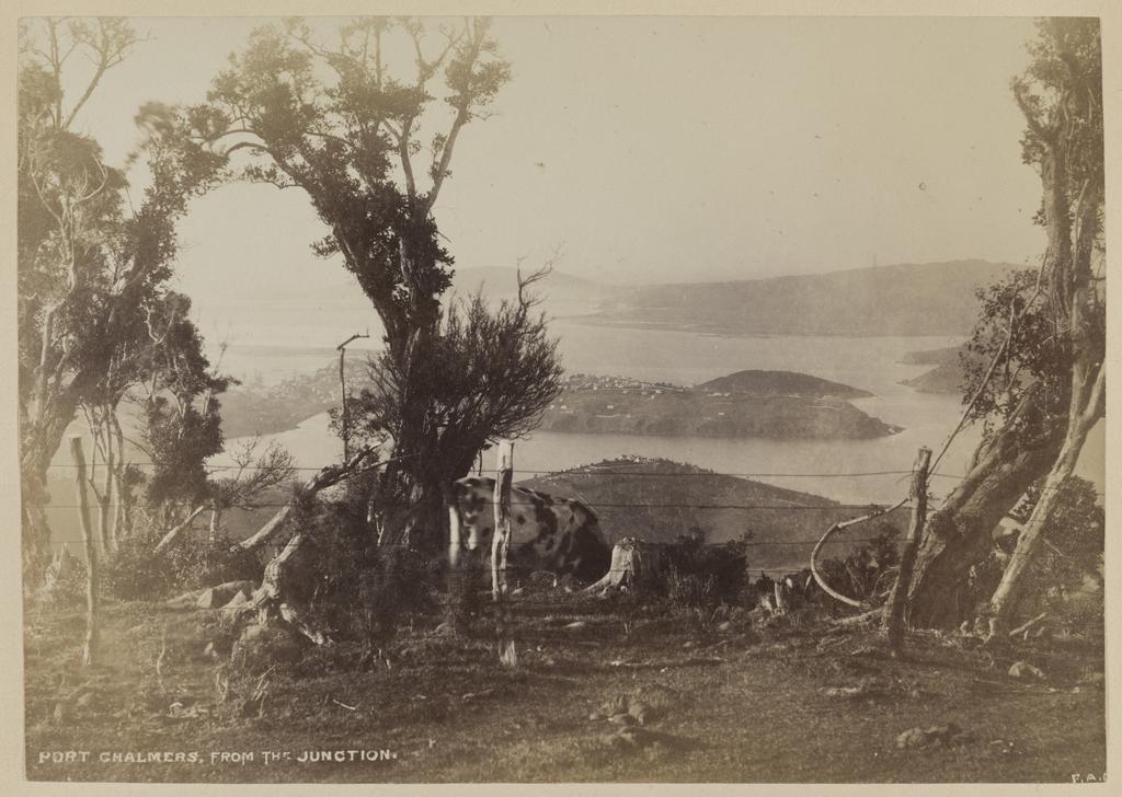 Photograph album of Australia and New Zealand - P1990-015/05