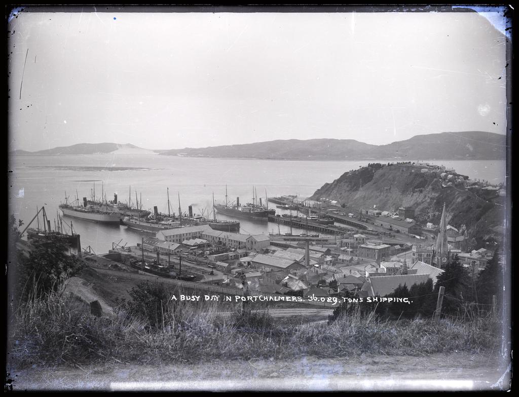 View titled 'A busy day at Port Chalmers, 36,029 tons shipping'